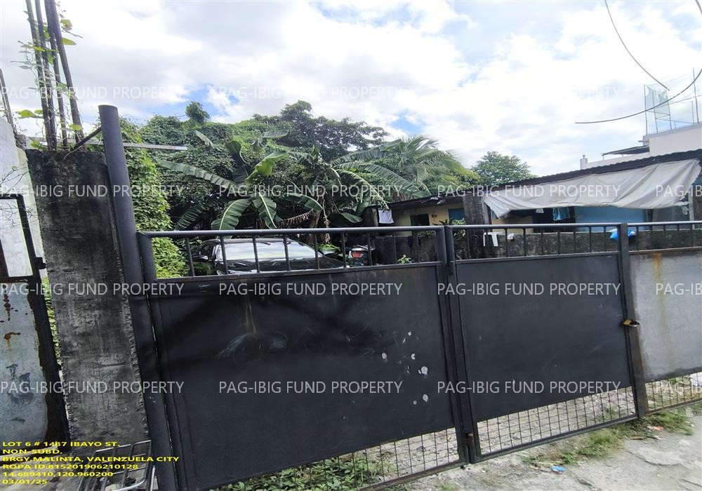 Lot 6 IBAYO ST NON-SUBDIVISION MALINTA, CITY OF VALENZUELA, NCR, THIRD DISTRICT, 1440 is available on acquired assets
