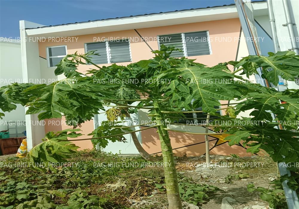 Lot 17 Blk. 45 PAGSINAG PLACE EAST SABANG, NAIC, CAVITE, 4110 is available on acquired assets