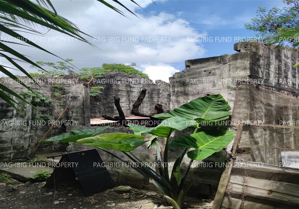 Lot 7 Blk. 67 Phase 2 CARISSA HOMES TANZA-BAGTAS BAGTAS, TANZA, CAVITE, 4108 is available on acquired assets