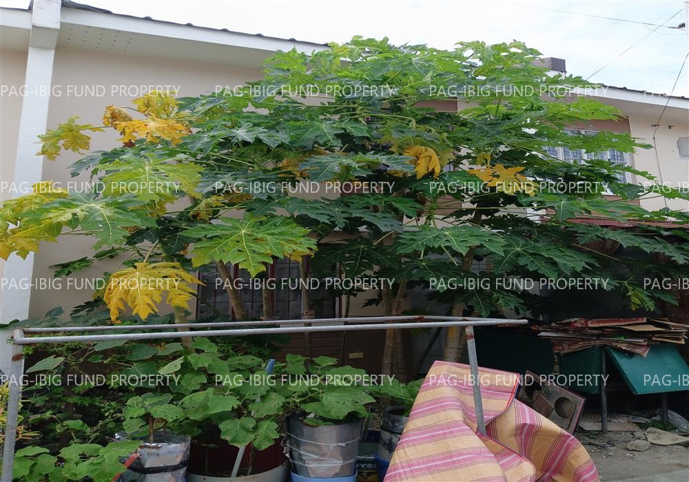 Lot 42 Blk. 9 PEARL RESIDENCES SUBDIVISION CAPIPISA, TANZA, CAVITE, 4108 is available on acquired assets
